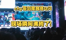  TheShy回归赛场，关键助攻首场状态亮眼，德国队观众沸腾！